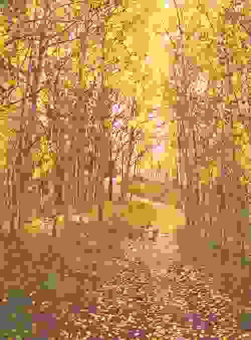  Photographic Print