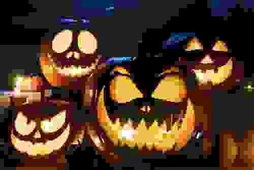 Visite Libre - Tarif Plein Halloween