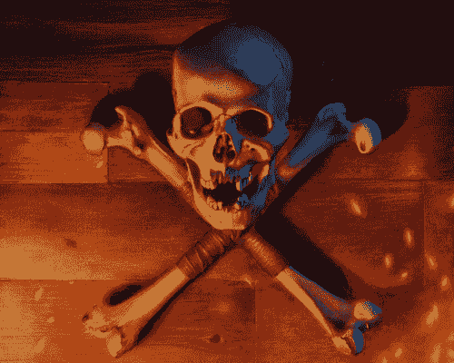 One on One Mentorship sessions