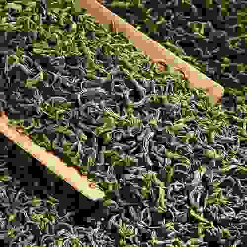 2025 Lushan Cloud Green Tea 6A Yunwu green tea