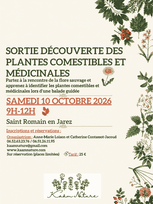 Sortie découverte des plantes locales comestibles et médicinales
