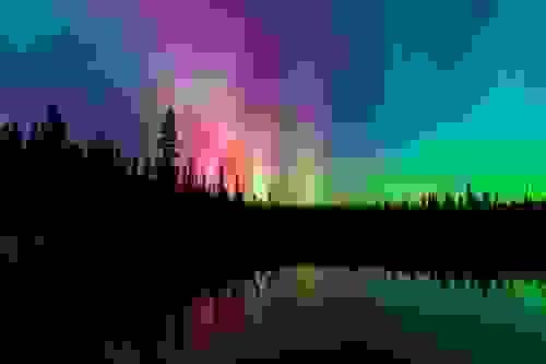 Magic Lights (Magic Bud x Northern Lights #5) 20 Regular Seeds