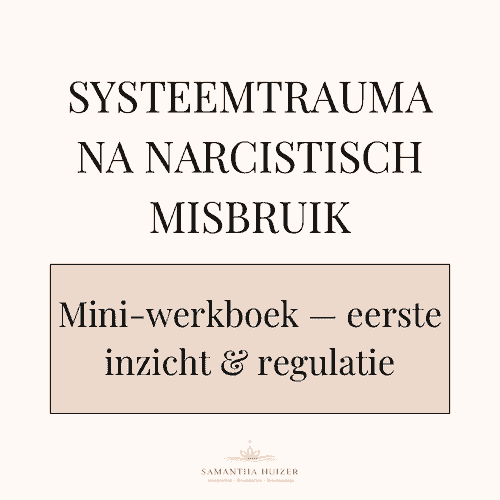 Systeemtrauma na narcistisch misbruik — Mini-werkboek — eerst inzicht & regulatie