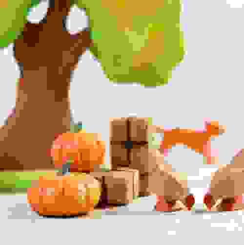 棕色母雞 Brown Hen
