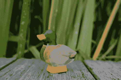  森林公鴨 Duck male
