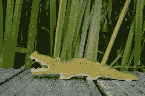森林鱷魚 Crocodile