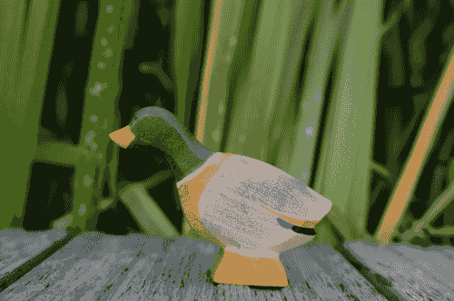 伸長脖子的公鴨 Duck male stretched