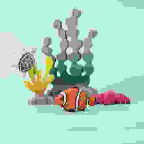 小丑魚 Clown Fish