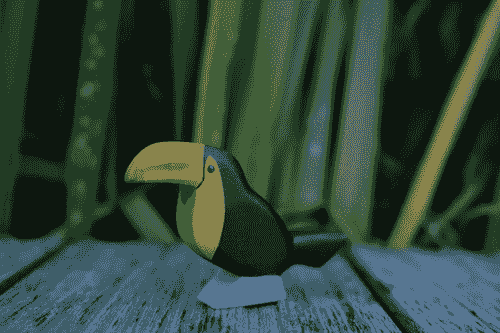 森林巨嘴鳥 Toucan
