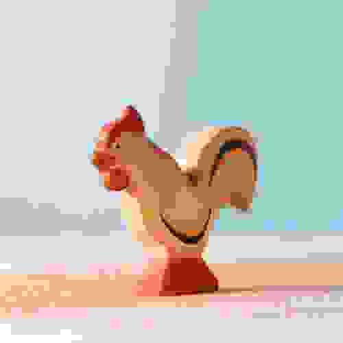 公雞 Rooster 