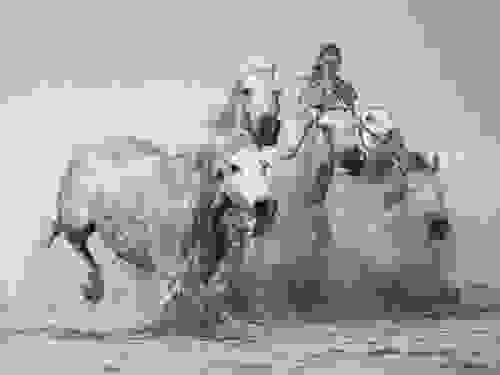 White Horses