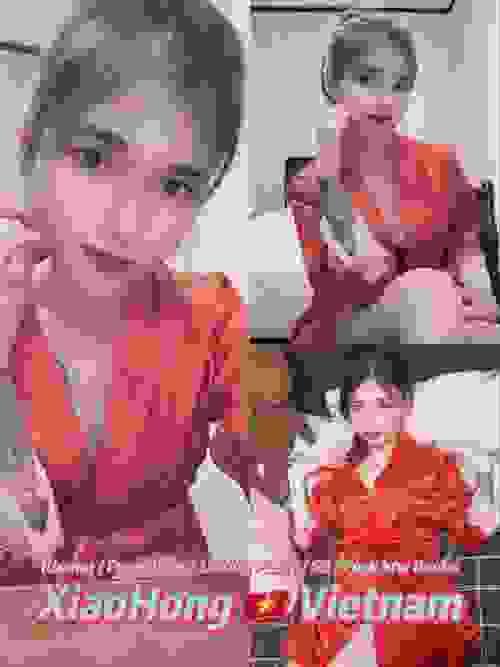 XiaoHong-越南