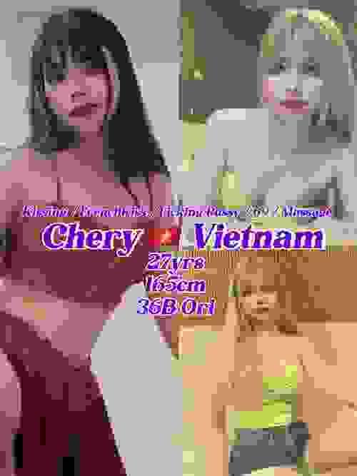 Chery-越南