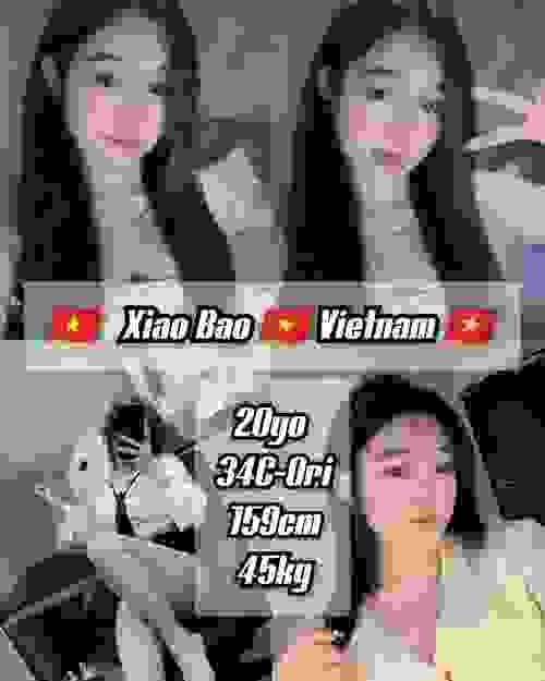 XiaoBao-越南
