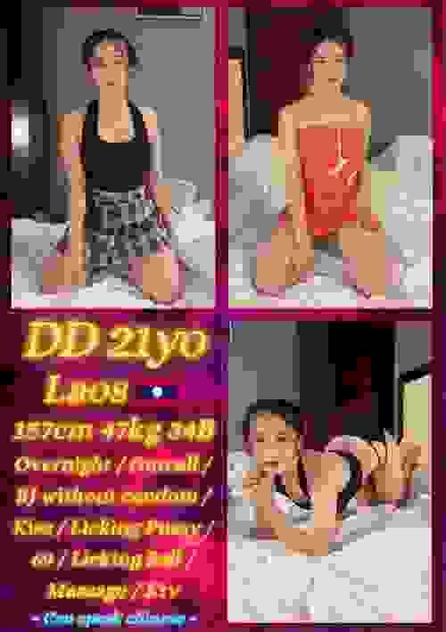 DD-老挝