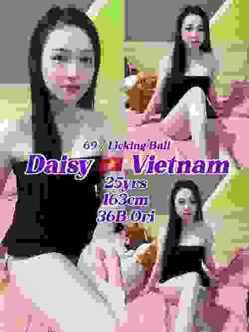 Daisy-越南