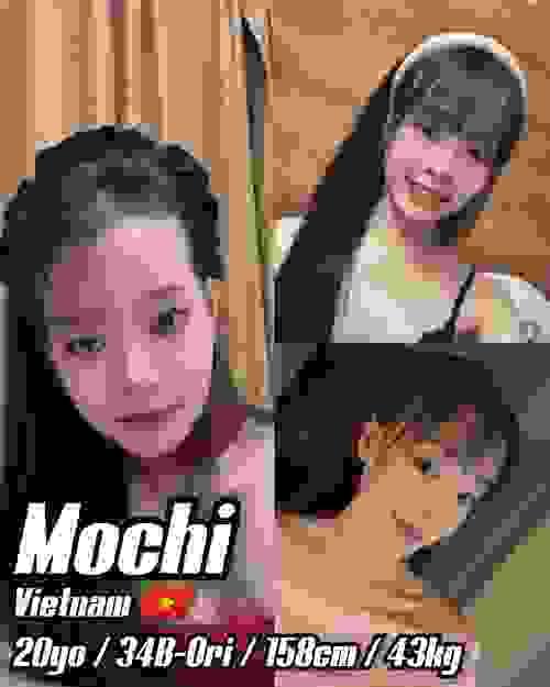 Mochi-越南