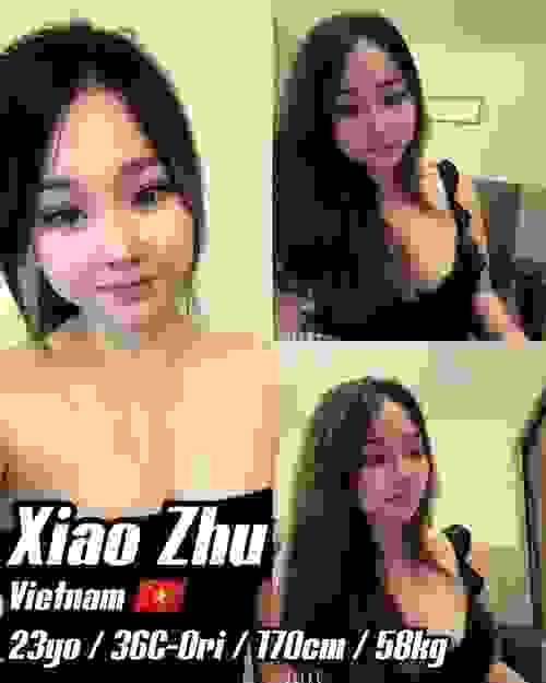 小猪-越南