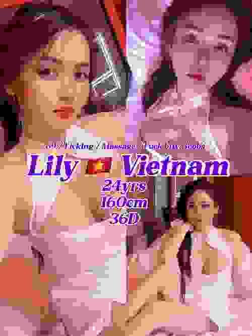 Lily-越南