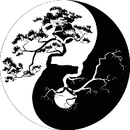 Chinese Medicine & QiGong Workshop