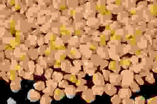 Fava of Feneos 