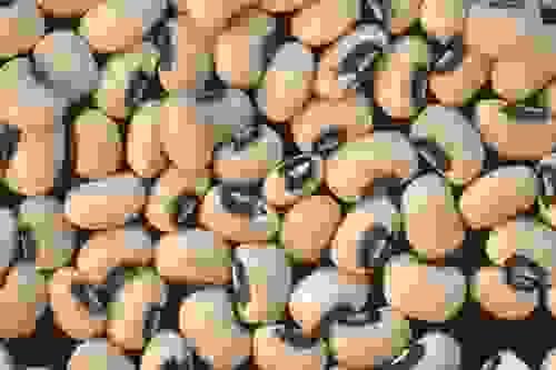 Black - Eyed Beans of Feneos