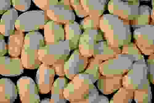 Giant Beans of Feneos 