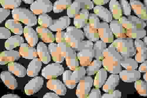 White Beans of Feneos