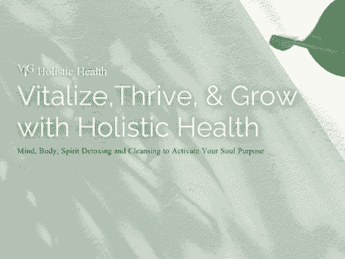 VTG Holistic Health 20 Minute Consultation (Virtual)