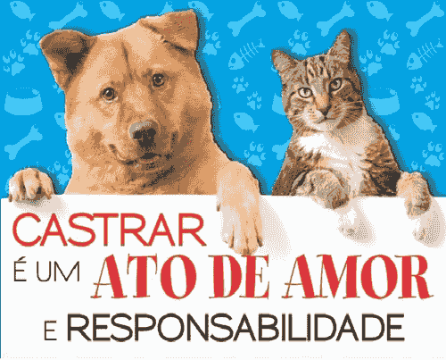 Castração 