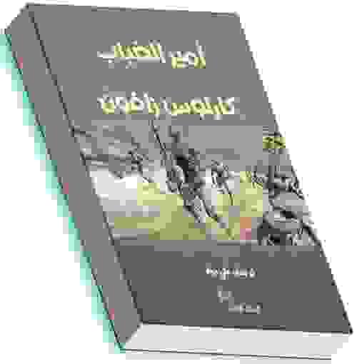 أمير الضباب - كارلوس زافون