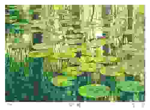 綠之舞 Green Dance