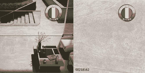 00218162