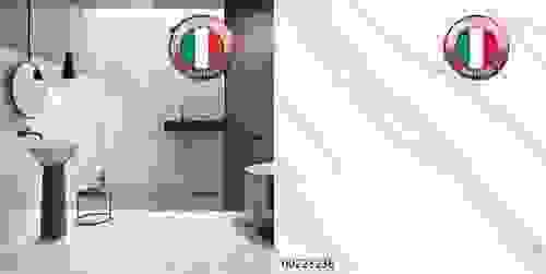 00223238