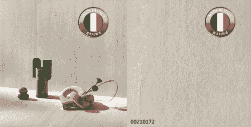 00210172