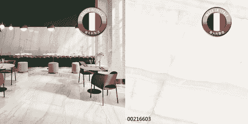 00216603
