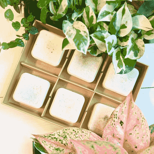 土包子系列手作-活力洗沐組