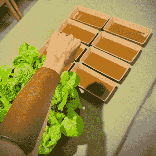 土包子系列手作-元氣香貼組