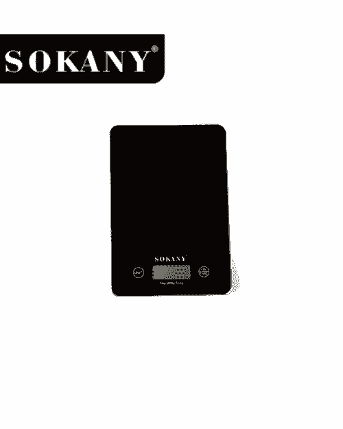 Pesa Electrónica   SK-19027