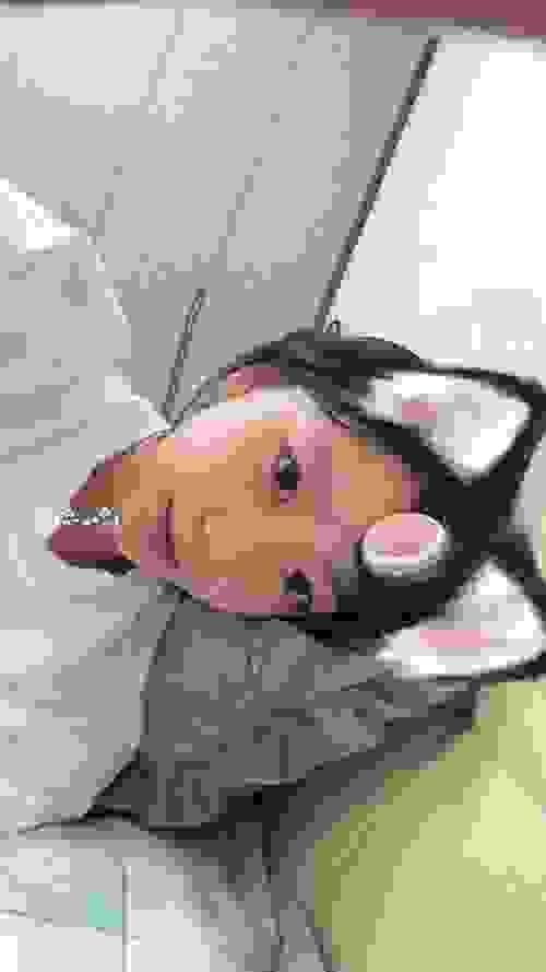 陕西西安18岁处女