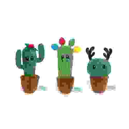 Christmas Cactus