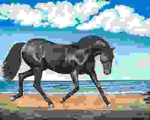Personalized Artwork-- This was a commission painting done for a lady that use to owned Andalusian