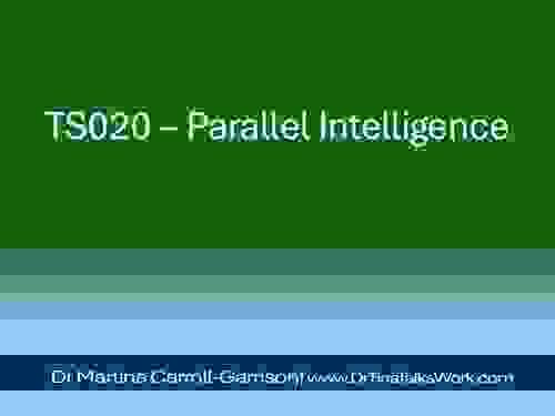  TS020 – Parallel Intelligence