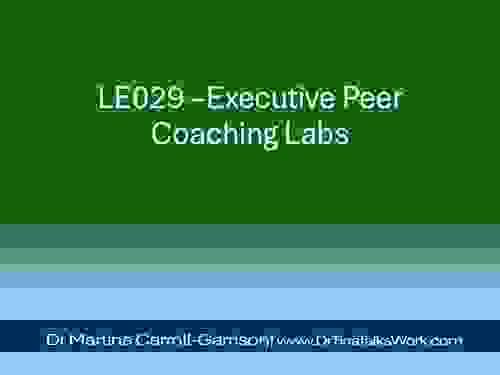 LE029 – Executive Peer Coaching Labs