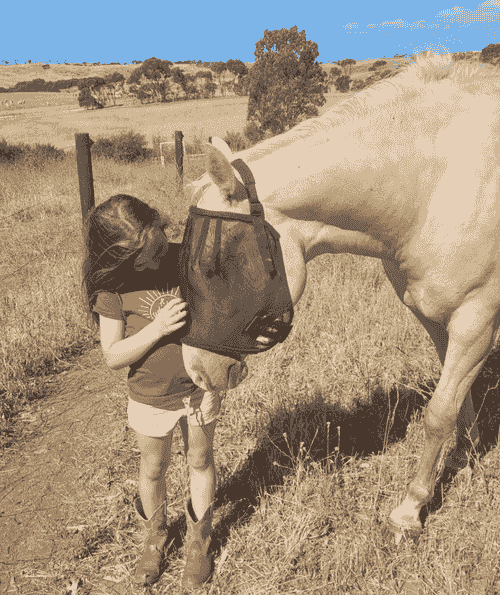 Rider Confidence 14th and 15th March 2026