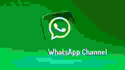 獨家Whatsapp channel members 頻道會員