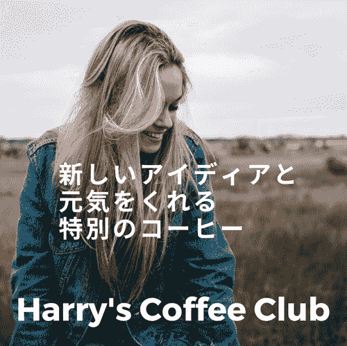 【 移ろいゆく季節の変わり目に。暑い日中はアイスで、朝と帰宅した後はホットで。】BSR-210（ホット＋アイス用 240g、送料無料）  1