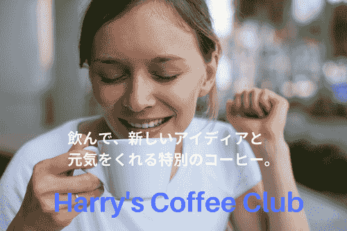 【+600円分「大盛」増量が、ワンコインで!】HFP-600(送料無料)