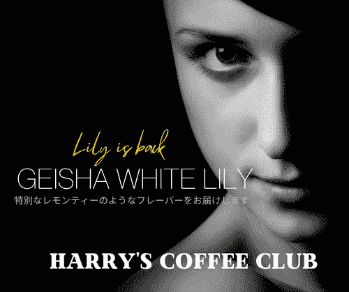 【あの大人気の「ゲイシャ ホワイト・リリィ」が帰って来ました、澄んだレモンティーのような味と香り、早い者勝ちのプレミアム珈琲をどうぞ】少量在庫限定品です GSWL-100(100g、送料無料)
