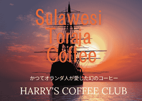 【かつて東インド会社のオランダ人が愛した、幻のコーヒー。新しい船出にふさわしい、インドネシア・スラバヤ(トラジャ)からプレミアム珈琲をどうぞ】STC-160(160g、送料無料)